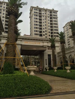 保集湖海棠