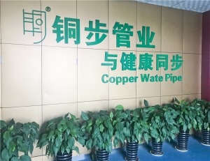 公司介绍